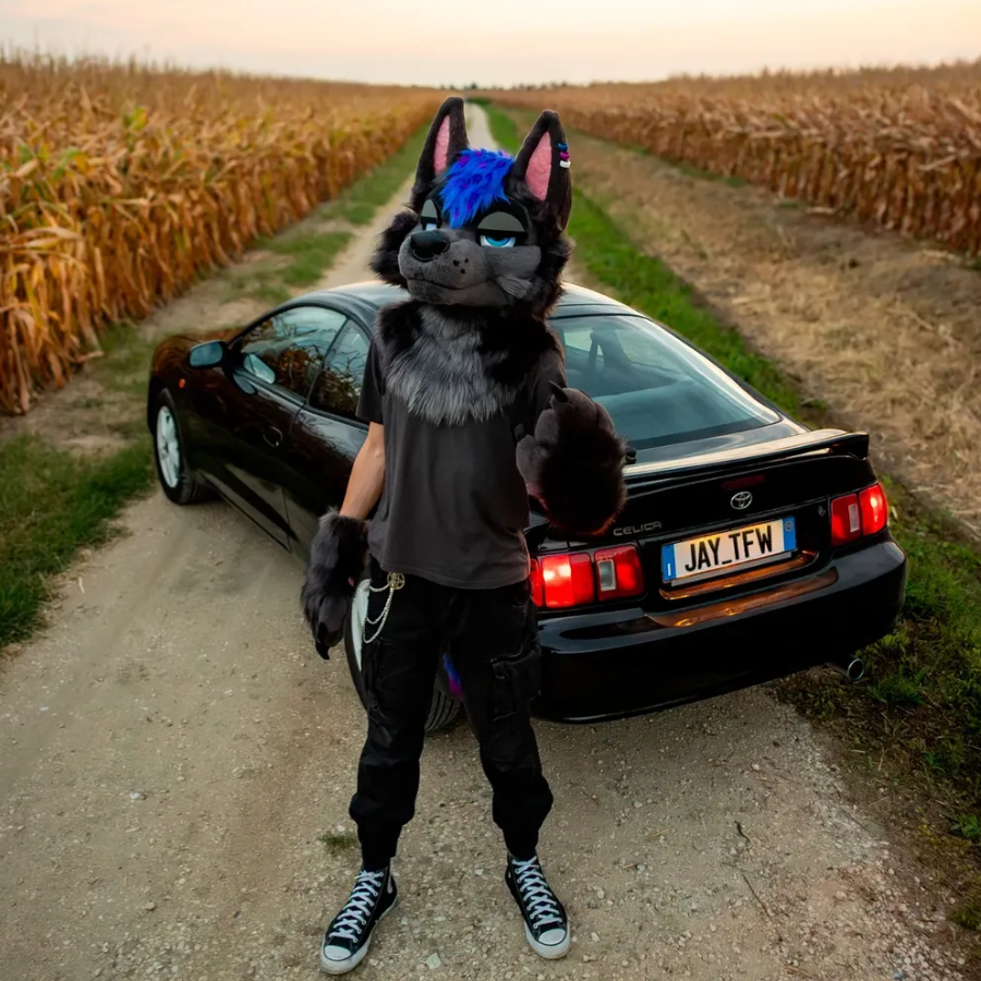 Fursuit highlight 1 - Jay