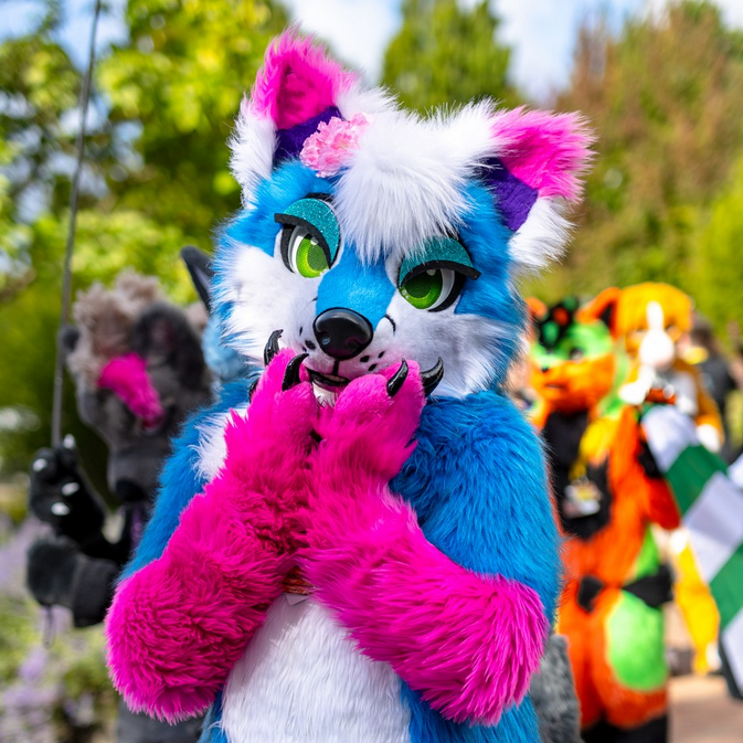 Fursuit highlight 4 - Hako